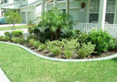 landscape edging