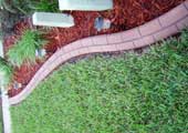 Orlando concrete edging