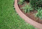 Orlando concrete curbing