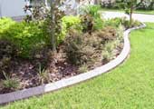 Orlando concrete edging